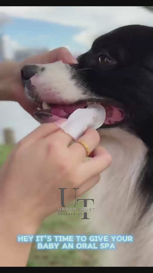 Disposable Dental Finger Wipes For Pets